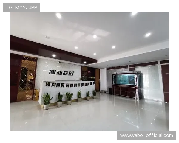 亚搏全站app官网充值支付方式介绍，支持多种支付渠道保障交易便捷安全