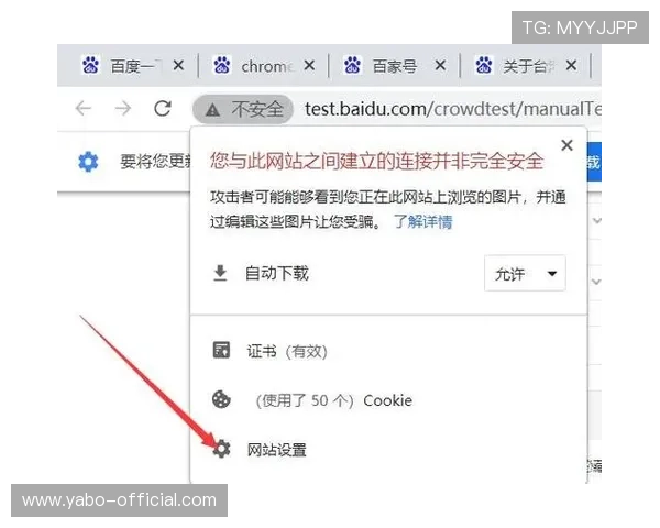 亚搏体育下载安全可靠，详细介绍下载安装流程及账号安全保护措施