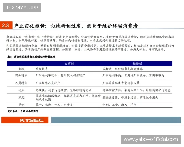 亚博YB平台网页版安全防护措施,保障玩家个人信息与资金安全的全面方案 亚博YB平台网页版安全防护措施,保障玩家个人信息与资金安全的全面方案