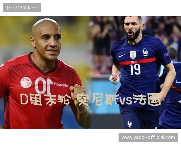 2026年瑞典VS突尼斯世界杯门票预订渠道详解及购票注意事项